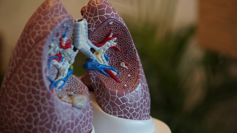 EMA-goedkeuring voor Ensifentrine: Wanneer is het nieuwste inhalatiemedicijn voor COPD verkrijgbaar in Europa?